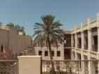 نسیم روزگار بر چهره بندر بوشهر