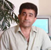 بوشهر، پرنده ای غمزده بر کرانه ساحل خلیج فارس