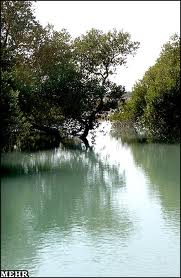 خور بساتین در پارک ملی دریایی نای بند نفس کشید