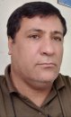 مهاجرت نخل های دشتستان بوشهر برای تزیین خیابان های عربی